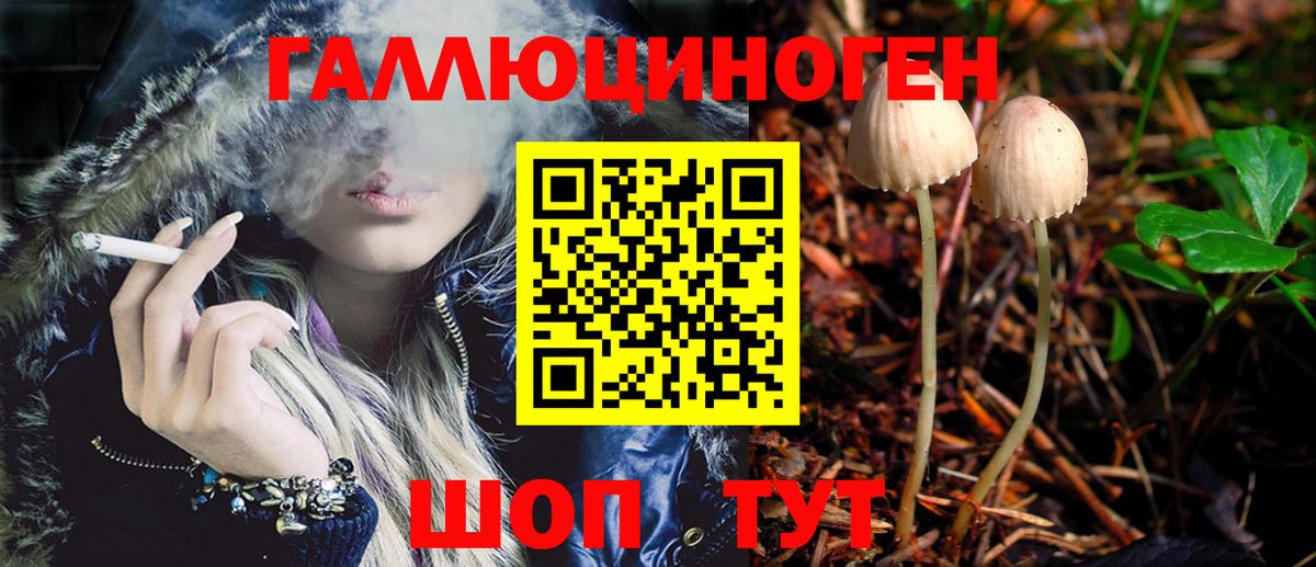 Галлюциногенные грибы Psilocybe  хочу   Вход с VPN  Сызрань  Галлюциногенные грибы Psilocybine cubensis 